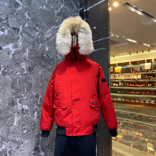 Canada Goose Down Jacket Wmns ID:201911c119